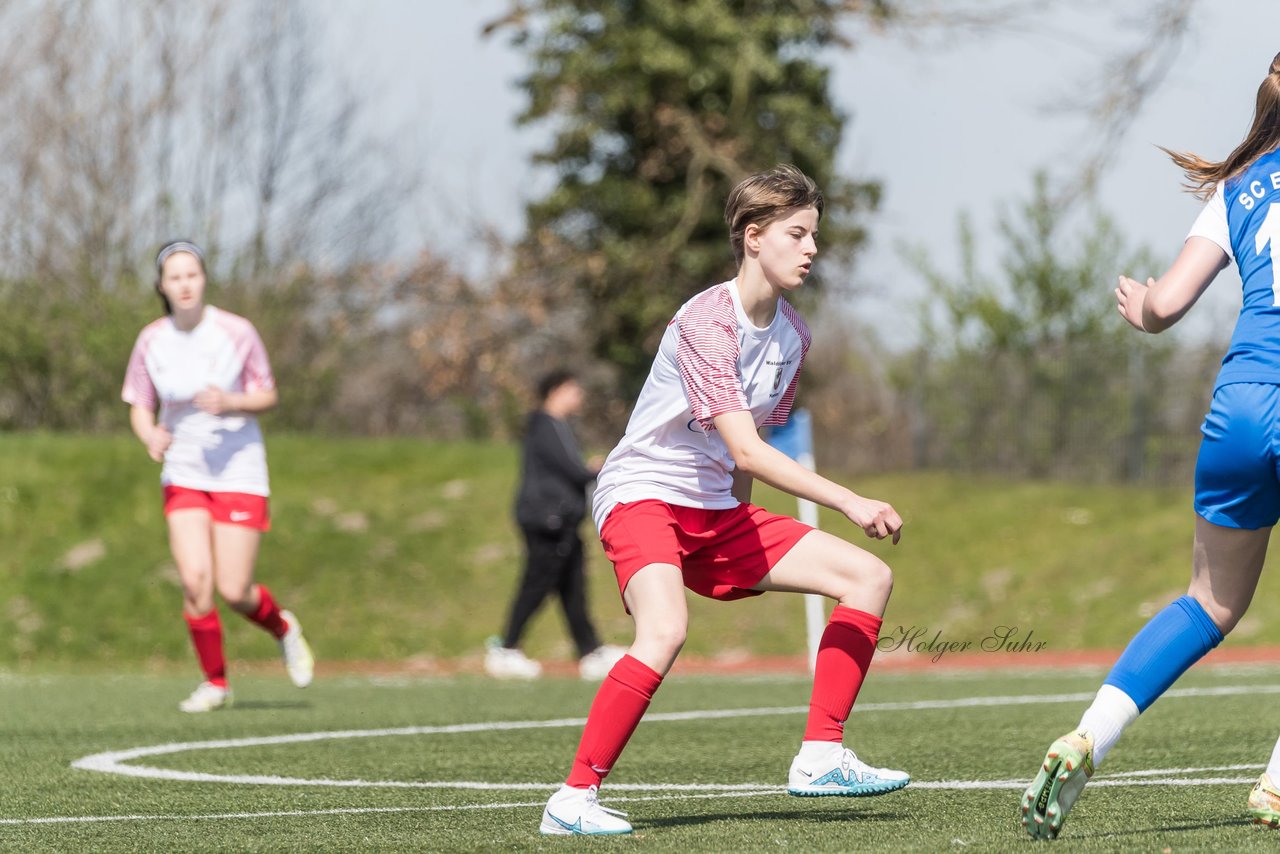 Bild 179 - wBJ SC Ellerau - Walddoerfer SV : Ergebnis: 1:8